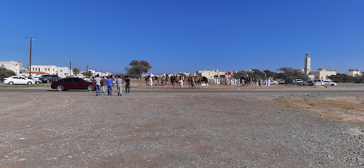 سباق الهجن - صحار -