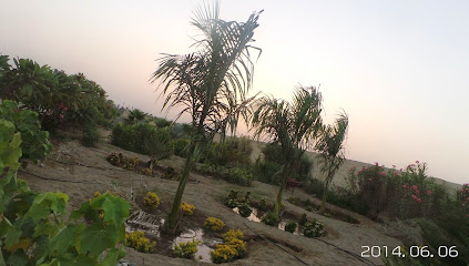 مشتل الرستاق الزراعي - مزرعة الملدة - رويحة -