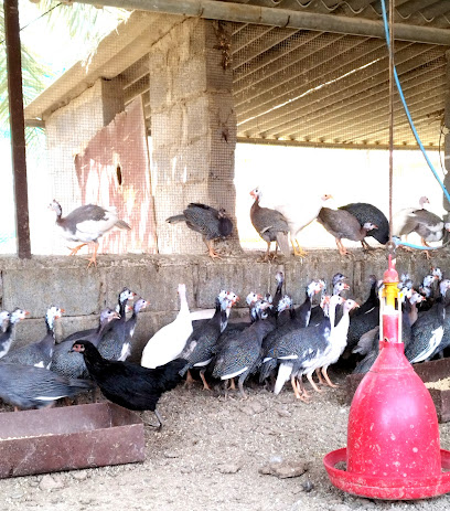 هيتورات للدواجن - هيتورات نزوى - +968 9938 3974