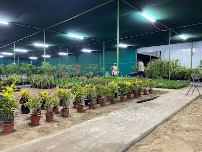 حضانة العامري ش ش - بركاء - +968 9521 4066