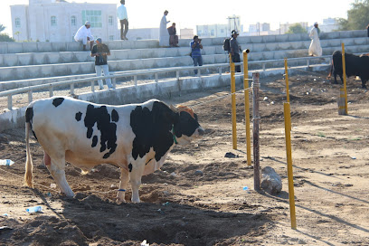 ساحة قتال بركاء الثور - بركاء -