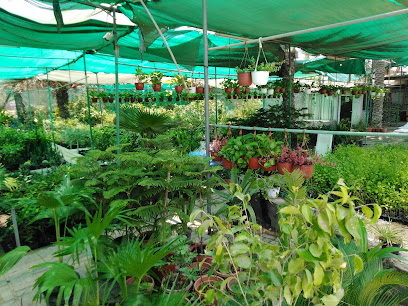 حضانة إبراء - إبرا -