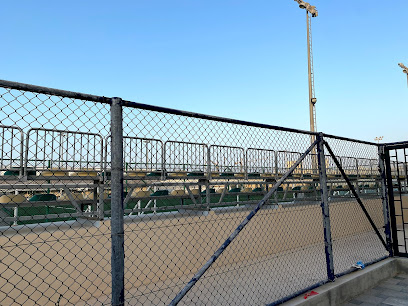 ملعب كرة القدم - السيب -