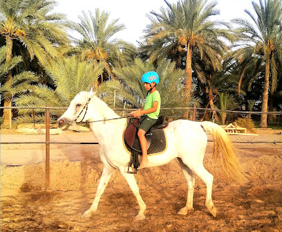 مدرسة تعليم الفروسية - الزاهب ، - +968 9292 6165