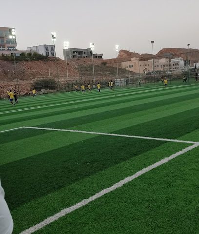 ملعب بوشر للعشب الصناعي لكرة القدم ملعب بوشر للترتان - مسقط -