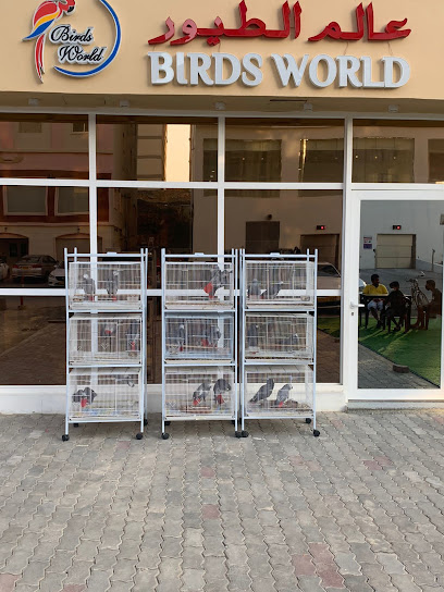 عالم الطيور - Oman|Muscat