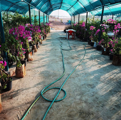 حضانة أريج الورد الجبل الأخضر - الجبل الأخضر نزوى - +968 9400 0142