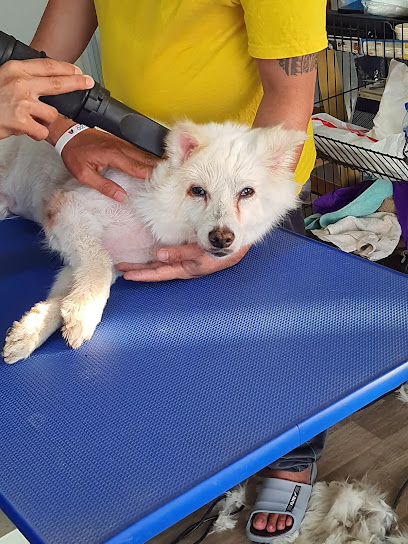 مركز H&L Grooming - Oman|Seeb