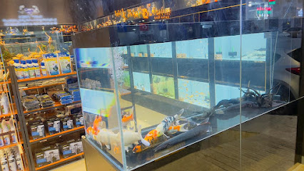 أمازون تاليز - السيب - +968 9498 4558