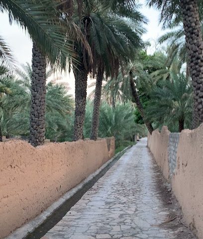 حمامات سباحة - الحمرا -