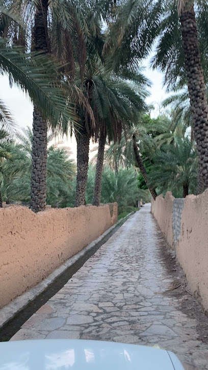 حمامات سباحة - Oman|Al Hamra|Unnamed Road